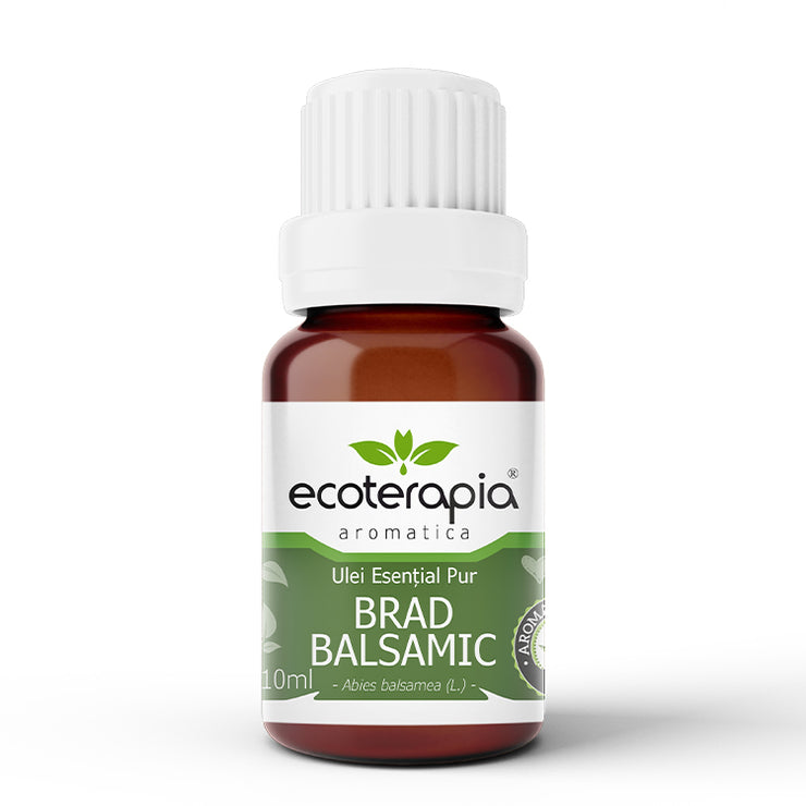 Ulei esențial pur Brad Balsamic, 10ml, Ecoterapia