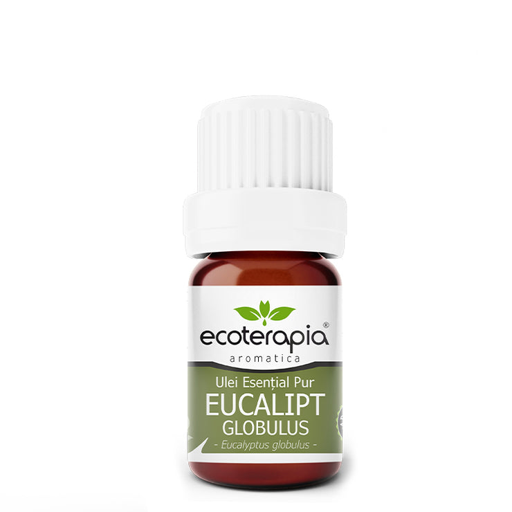 Ulei esențial pur de Eucalipt Globulus - Ecoterapia