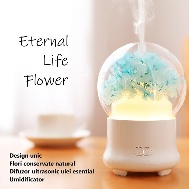 Difuzor aromaterapie Eternal Life Flower, cu flori naturale+Ulei esențial pur Eucalipt Radiata, 10ml