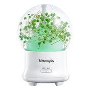 Difuzor aromaterapie Eternal Life Flower, cu flori naturale+Ulei esențial pur Eucalipt Radiata, 10ml