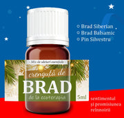Seara de Craciun - Kit de 3 mixuri Uleiuri Esențiale Pure