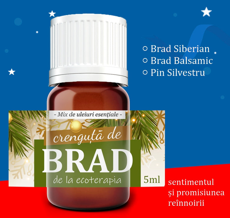 Seara de Craciun - Kit de 3 mixuri Uleiuri Esențiale Pure