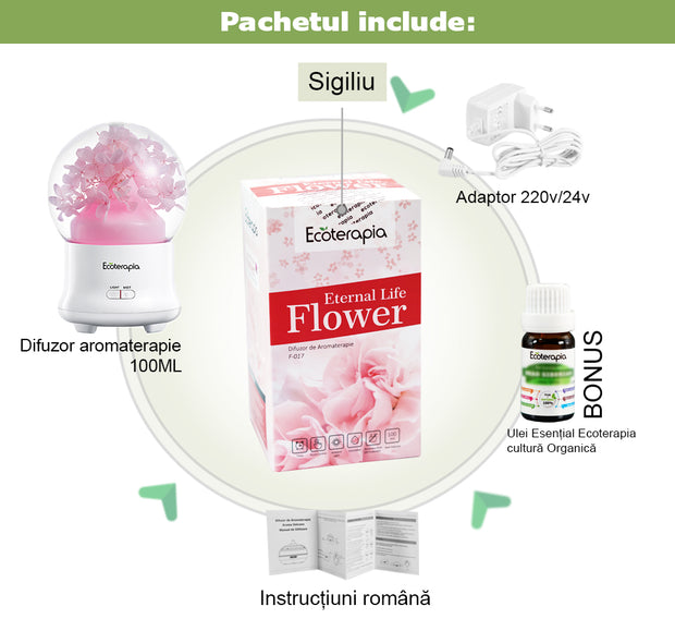 Difuzor aromaterapie Eternal Life Flower, cu flori naturale+Ulei esențial pur Eucalipt Radiata, 10ml
