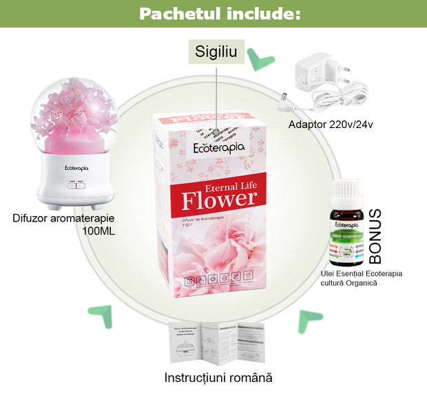 Difuzor aromaterapie Eternal Life Flower, cu flori naturale+Mix Uleuri esentiale pure Toamnaroma, 10 ml