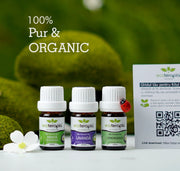 Aroma & Music Pack