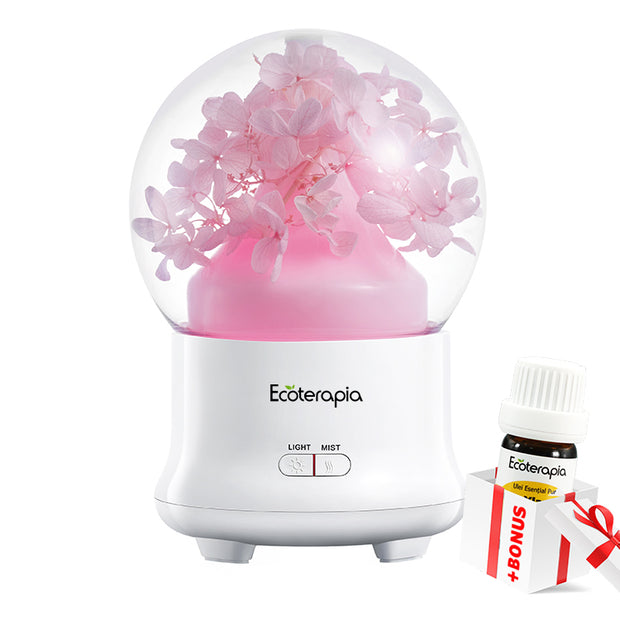 Difuzor aromaterapie Eternal Life Flower, cu flori naturale+Ulei esențial pur Eucalipt Radiata, 10ml