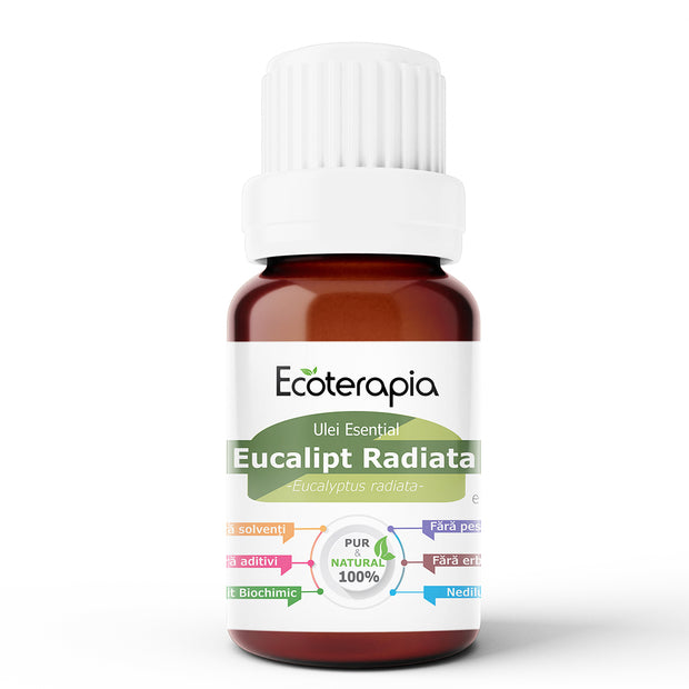 Ulei esențial pur Eucalipt Radiata, 10ml - Ecoterapia